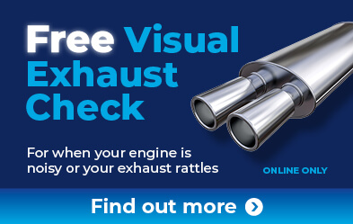 Free Visual Exhaust Check